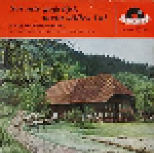 Cover - Schwarzwald-Trio, Das: Sei Mir Gegrüßt, Mein Stilles Tal