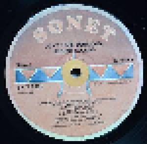 Albert Collins & The Icebreakers: Don't Lose Your Cool (LP) - Bild 3