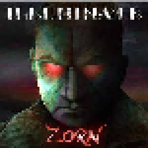 Illuminate: Zorn (2-CD) - Bild 1