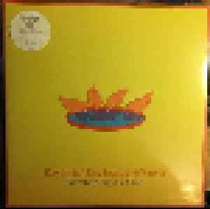 Bombay Bicycle Club: Everything Else Has Gone Wrong (2-LP) - Bild 1