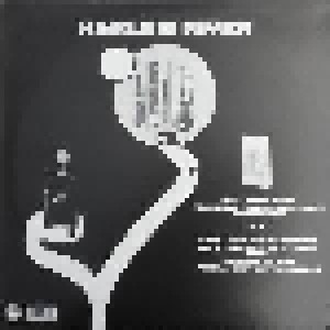 Kevin Morby: Harlem River (LP) - Bild 2