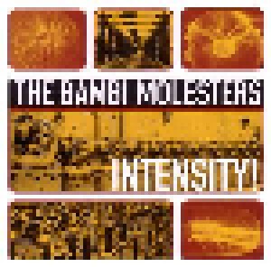 The Bambi Molesters: Intensity! (CD) - Bild 1