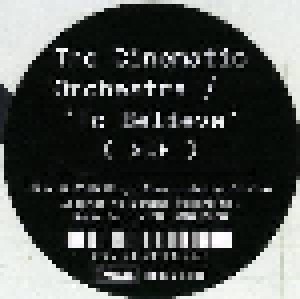 The Cinematic Orchestra: To Believe (2-LP) - Bild 3