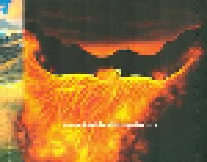 Kastelruther Spatzen: Feuervogel Flieg (CD) - Bild 5