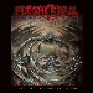 Fleshcrawl: Into The Catacombs Of Flesh (LP) - Bild 1
