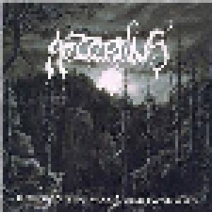 Aeternus: Beyond The Wandering Moon (2-LP) - Bild 1