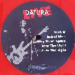 Datura: All Is One (2-LP) - Bild 8