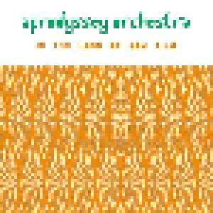 Cover - Afrodyssey Orchestra: In The Land Of Aou Tila