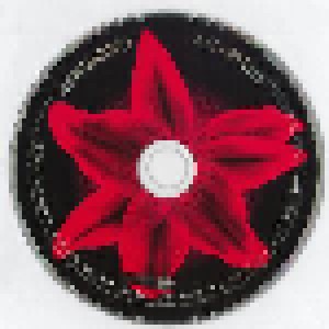 Shinedown: Amaryllis (CD) - Bild 3