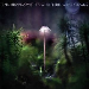 Cover - Emil Brandqvist Trio: Entering The Woods