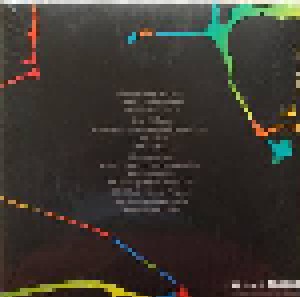 Jonathan Wilson: Dixie Blur (2-LP) - Bild 2