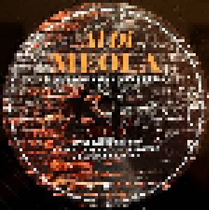 Al Di Meola: Across The Universe (2-LP) - Bild 10