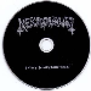 Nekrovault: Totenzug: Festering Peregrination (CD) - Bild 3