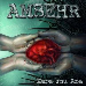Cover - Ambehr: Here You Are
