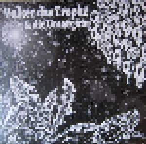 Mururoa Attäck + Volker Das Trophe & Die Untergäng ‎: Split2018 (Split-LP) - Bild 2
