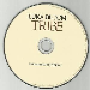 Luka Bloom: Tribe (CD) - Bild 3