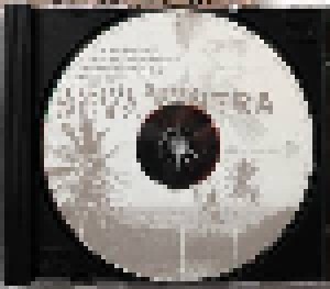 Cesaria Evora: Nova Sintra (CD) - Bild 3
