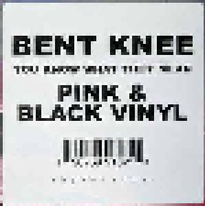 Bent Knee: You Know What They Mean (LP) - Bild 8
