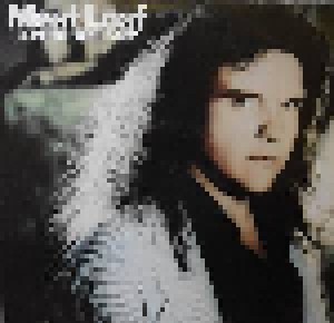 Meat Loaf: Blind Before I Stop (LP) - Bild 1