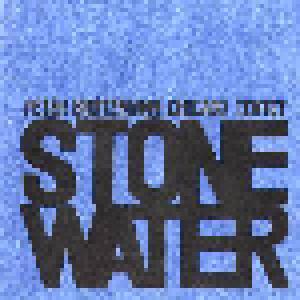 Peter Brötzmann Chicago Tentet: Stone/Water - Cover