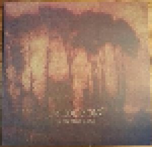 Primordial: A Journey's End (LP) - Bild 1