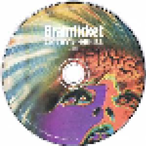Brainticket: Cottonwoodhill (LP + CD) - Bild 7