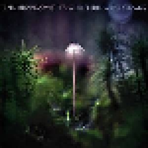 Emil Brandqvist Trio: Entering The Woods (CD) - Bild 1