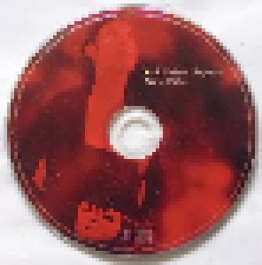 Beth Nielsen Chapman: World Of Hurt (Single-CD) - Bild 3