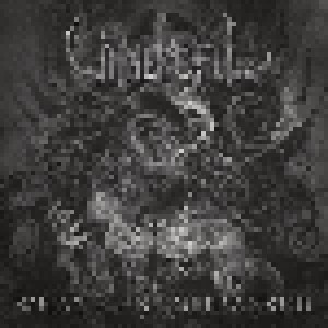 Cover - Unmerciful: Wrath Encompassed