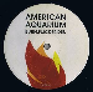 American Aquarium: Burn.Flicker.Die. (2-LP) - Bild 3