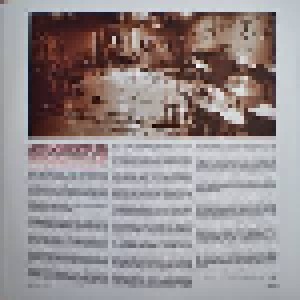 Wilco: A.M. (2-LP) - Bild 5