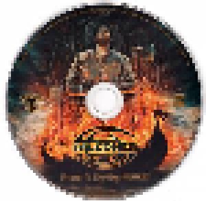Falconer: From A Dying Ember (CD) - Bild 4