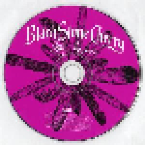 Black Stone Cherry: Magic Mountain (CD) - Bild 3