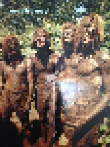 Mudhoney: Mudhoney (LP) - Bild 5