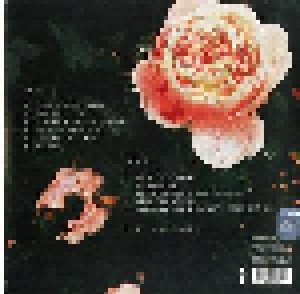 Willie Nelson: First Rose Of Spring (LP) - Bild 2