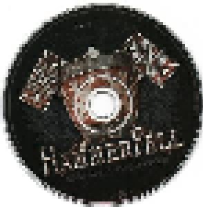 HammerFall: Steel Meets Steel - Ten Years Of Glory (2-CD) - Bild 3