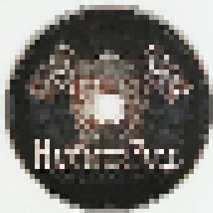 HammerFall: Steel Meets Steel - Ten Years Of Glory (2-CD) - Bild 6