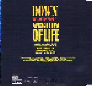 Down Low: Vision Of Life (Single-CD) - Bild 3