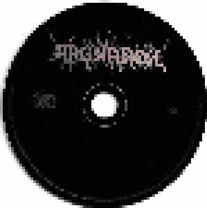 Ragnarok: Nattferd (CD) - Bild 4