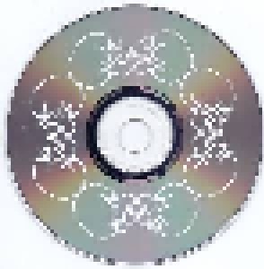 Mamiffer & Circle: Enharmonic Intervals (For Paschen Organ) (CD) - Bild 5