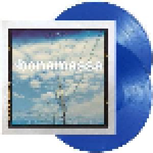 Joe Bonamassa: A New Day Now (2-LP) - Bild 3