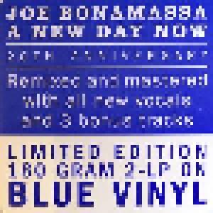 Joe Bonamassa: A New Day Now (2-LP) - Bild 4