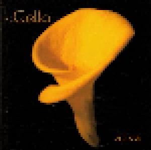 Cover - Cello: Alva
