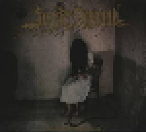 Sinister Downfall: A Dark Shinning Light (CD) - Bild 2