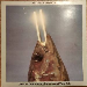 REO Speedwagon: You Can Tune A Piano, But You Can't Tuna Fish. (LP) - Bild 1