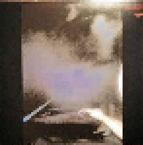 Siouxsie And The Banshees: The Scream (LP) - Bild 2