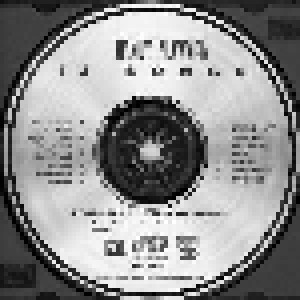 Randy Newman: 12 Songs (CD) - Bild 3