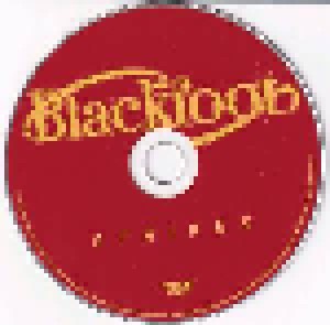 Blackfoot: Strikes (CD) - Bild 3