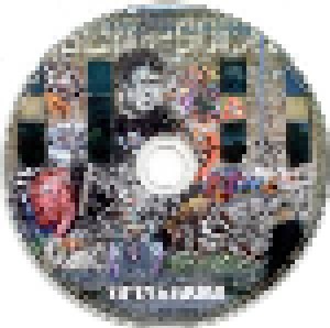 Hubert von Goisern: Zeiten & Zeichen (CD) - Bild 7