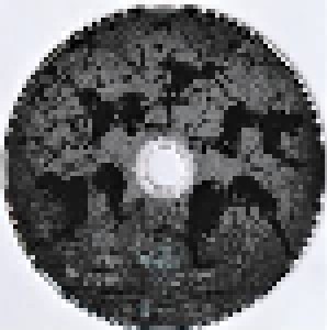 The GazettE: Hyena (Single-CD + DVD-Single) - Bild 5